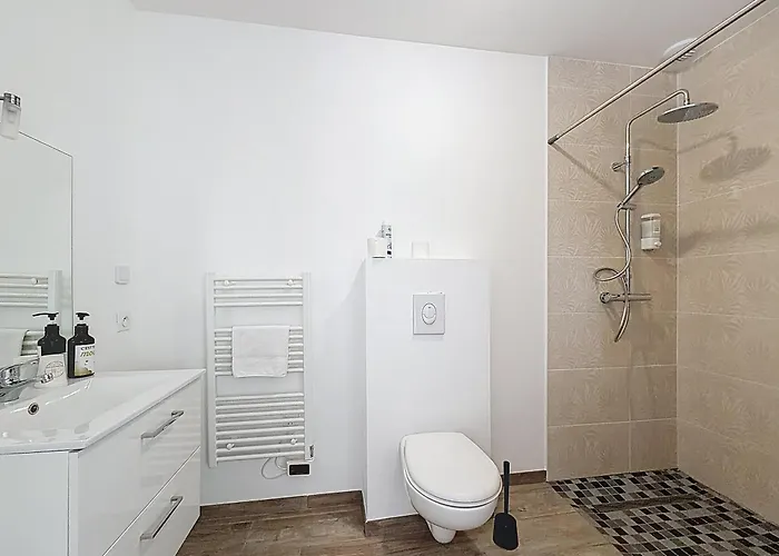 Maison Proche Clermont Et Riom 4 Et 4 Sbd , Climatisé Avec Parking Gratuit